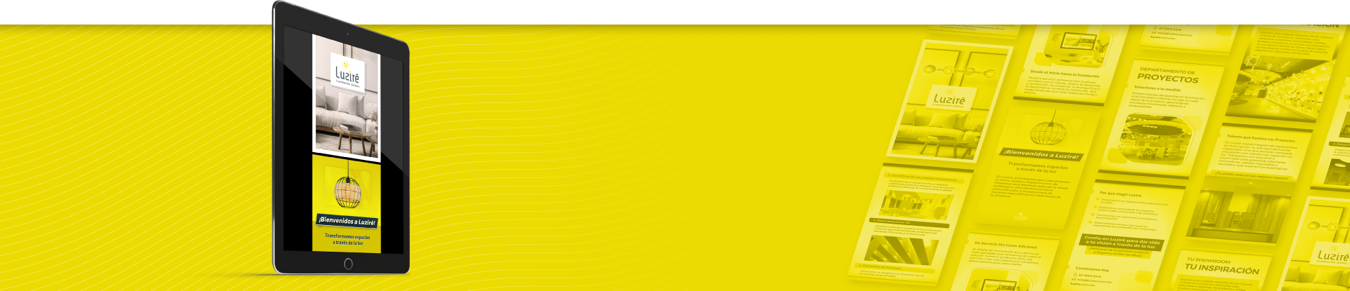 Descargar Brochure